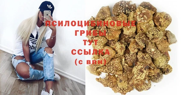ешки Алзамай