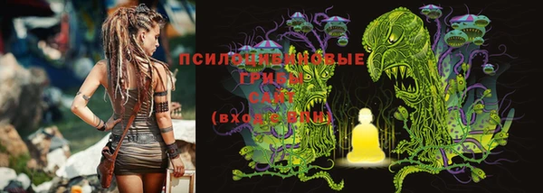 шишки Алексеевка