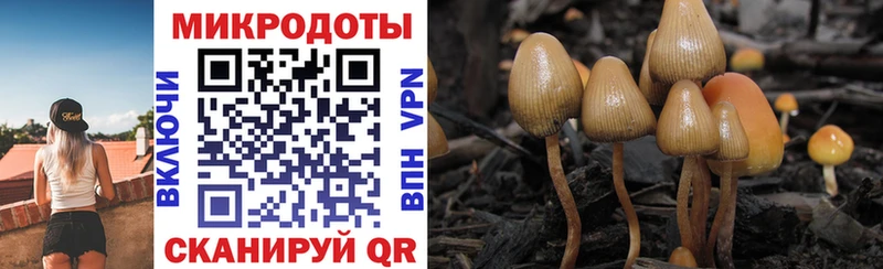 цены наркотик  Слюдянка  Галлюциногенные грибы Cubensis 